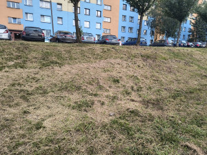 Zdjęcie 3 przedstawia problem zgłoszony w tym alercie