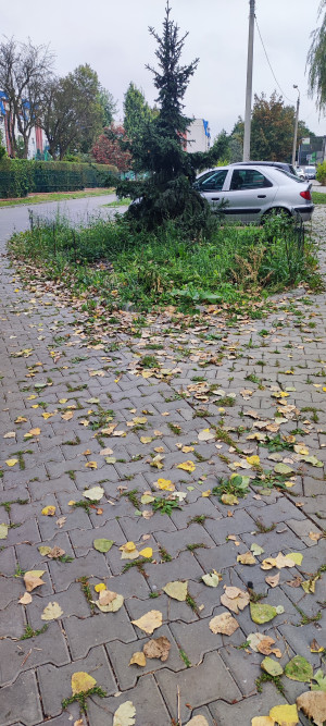 Zdjęcie 3 przedstawia problem zgłoszony w tym alercie