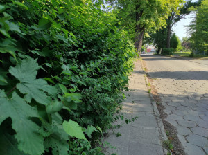 Zdjęcie 1 przedstawia problem zgłoszony w tym alercie