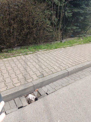 Zdjęcie 2 przedstawia problem zgłoszony w tym alercie