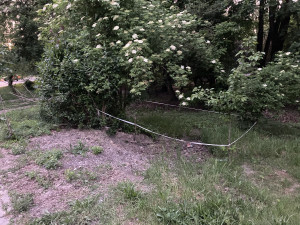 Zdjęcie 1 przedstawia problem zgłoszony w tym alercie