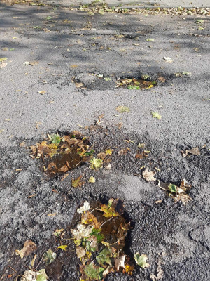 Zdjęcie 1 przedstawia problem zgłoszony w tym alercie