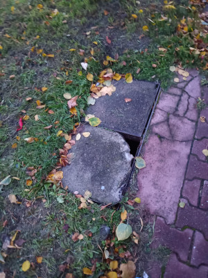 Zdjęcie 2 przedstawia problem zgłoszony w tym alercie