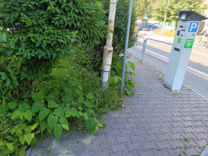 Zdjęcie 3 przedstawia problem zgłoszony w tym alercie