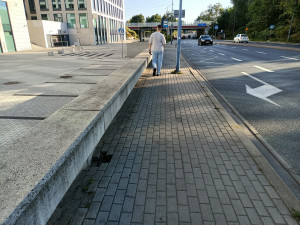 Zdjęcie 1 przedstawia problem zgłoszony w tym alercie