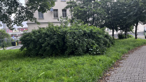 Zdjęcie 5 przedstawia problem zgłoszony w tym alercie