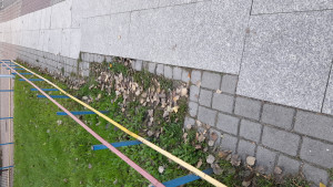 Zdjęcie 1 przedstawia problem zgłoszony w tym alercie