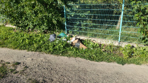 Zdjęcie 1 przedstawia problem zgłoszony w tym alercie