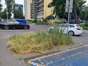 Zdjęcie 2 przedstawia problem zgłoszony w tym alercie