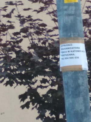 Zdjęcie 1 przedstawia problem zgłoszony w tym alercie