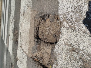 Zdjęcie 1 przedstawia problem zgłoszony w tym alercie
