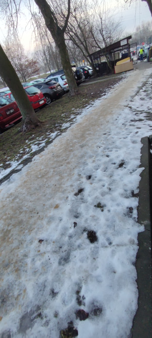 Zdjęcie 2 przedstawia problem zgłoszony w tym alercie