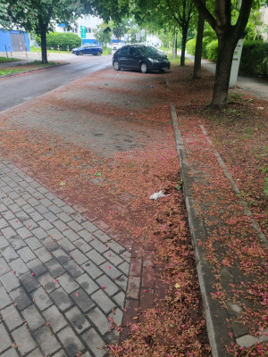 Zdjęcie 1 przedstawia problem zgłoszony w tym alercie