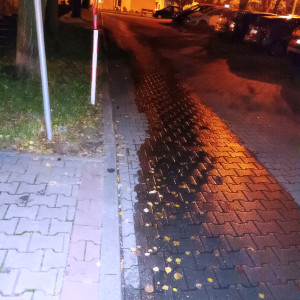 Zdjęcie 1 przedstawia problem zgłoszony w tym alercie