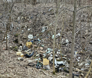 Zdjęcie 1 przedstawia problem zgłoszony w tym alercie