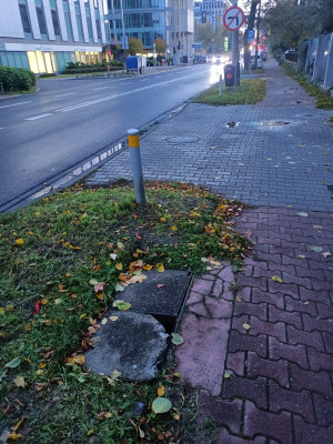 Zdjęcie 1 przedstawia problem zgłoszony w tym alercie