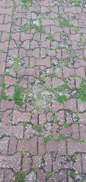 Zdjęcie 1 przedstawia problem zgłoszony w tym alercie