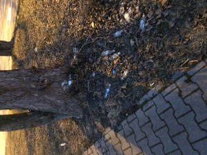 Zdjęcie 1 przedstawia problem zgłoszony w tym alercie