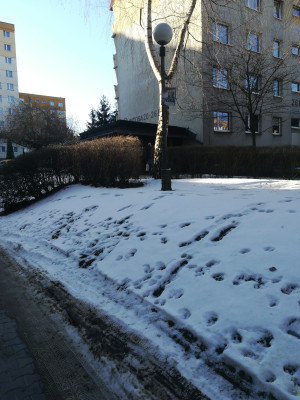 Zdjęcie 1 przedstawia problem zgłoszony w tym alercie