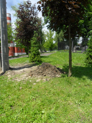 Zdjęcie 1 przedstawia problem zgłoszony w tym alercie