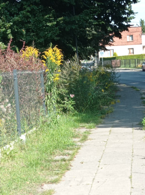 Zdjęcie 4 przedstawia problem zgłoszony w tym alercie