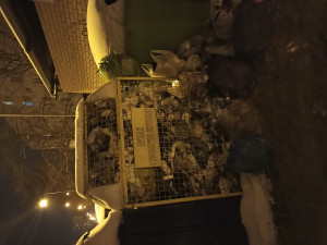 Zdjęcie 1 przedstawia problem zgłoszony w tym alercie