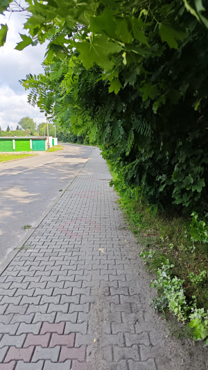 Zdjęcie 3 przedstawia problem zgłoszony w tym alercie