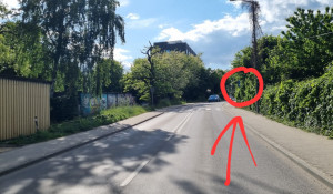 Zdjęcie 2 przedstawia problem zgłoszony w tym alercie
