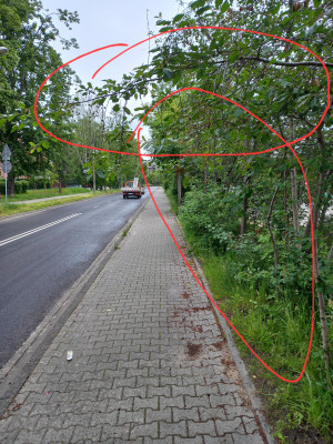 Zdjęcie 1 przedstawia problem zgłoszony w tym alercie