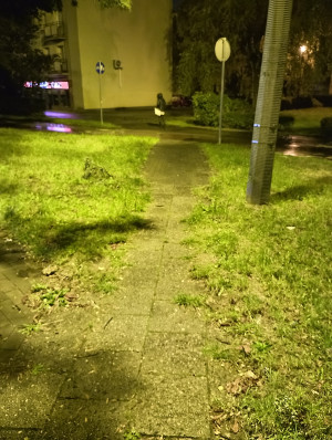 Zdjęcie 4 przedstawia problem zgłoszony w tym alercie