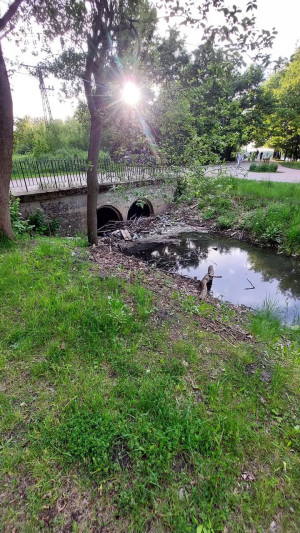 Zdjęcie 1 przedstawia problem zgłoszony w tym alercie
