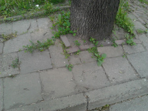 Zdjęcie 3 przedstawia problem zgłoszony w tym alercie
