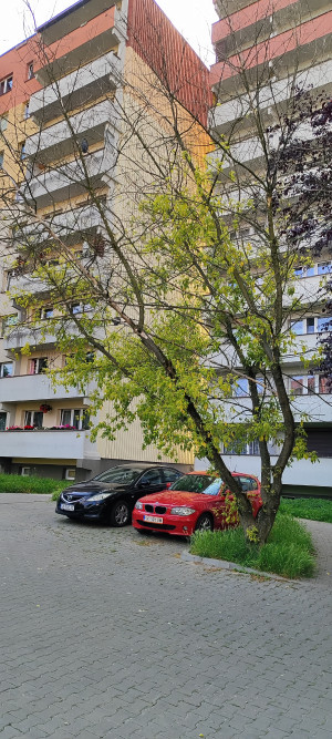 Zdjęcie 1 przedstawia problem zgłoszony w tym alercie