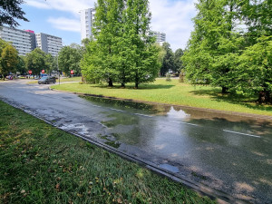 Zdjęcie 1 przedstawia problem zgłoszony w tym alercie