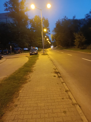 Zdjęcie 2 przedstawia problem zgłoszony w tym alercie