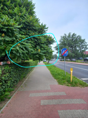 Zdjęcie 1 przedstawia problem zgłoszony w tym alercie
