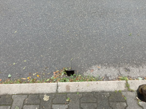 Zdjęcie 1 przedstawia problem zgłoszony w tym alercie