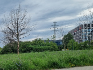 Zdjęcie 1 przedstawia problem zgłoszony w tym alercie