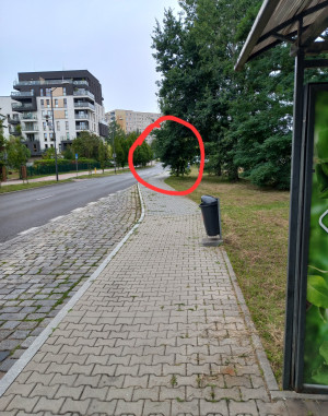 Zdjęcie 3 przedstawia problem zgłoszony w tym alercie