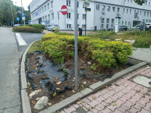 Zdjęcie 2 przedstawia problem zgłoszony w tym alercie