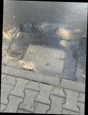 Zdjęcie 2 przedstawia problem zgłoszony w tym alercie