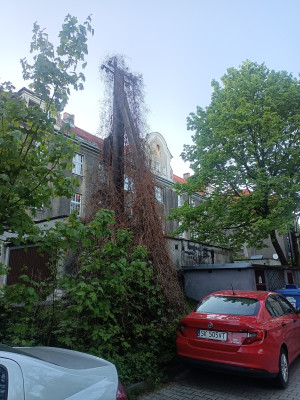 Zdjęcie 1 przedstawia problem zgłoszony w tym alercie