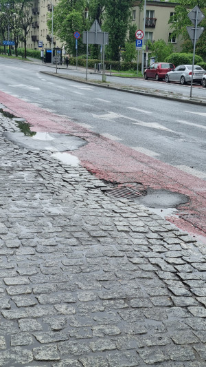 Zdjęcie 4 przedstawia problem zgłoszony w tym alercie