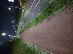 Zdjęcie 5 przedstawia problem zgłoszony w tym alercie