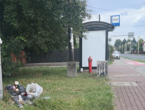 Zdjęcie 1 przedstawia problem zgłoszony w tym alercie