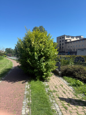 Zdjęcie 1 przedstawia problem zgłoszony w tym alercie