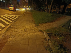 Zdjęcie 1 przedstawia problem zgłoszony w tym alercie