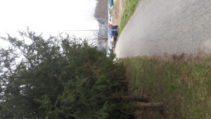 Zdjęcie 3 przedstawia problem zgłoszony w tym alercie