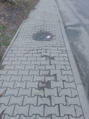 Zdjęcie 2 przedstawia problem zgłoszony w tym alercie