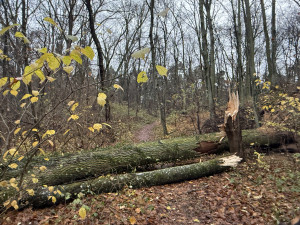 Zdjęcie 1 przedstawia problem zgłoszony w tym alercie
